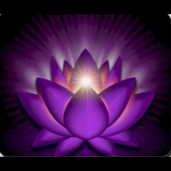 Meet Your Posher, Raven - Picture 1 of 1